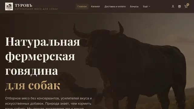 ТУРОВЪ